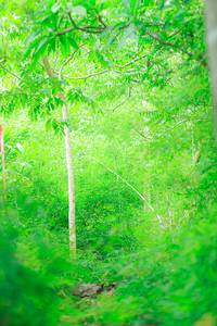 BIB: 
                            <button type="button" onclick="openModal(22090555)" class="btn btn-primary btn-sm float-right btn-popup" data-toggle="modal" data-target=".modal-high-quality">
                        <i class="fas fa-shopping-cart"></i> Add to Cart
                    </button>
                                            <button type="button" onclick="isThisMe(22090555, true)" class="btn btn-success btn-sm float-right btn-popup btn-isme hidden" data-toggle="tooltip" data-placement="bottom" title="นี่คือรูปของคุณใช่ไหม คลิกที่นี่เพื่อเอาเข้าอัลบั้ม">
                        <i class="fas fa-plus"></i> Add to album
                    </button>
                    <button type="button" onclick="isThisMe(22090555, false)" class="btn btn-warning btn-sm float-right btn-popup btn-isnotme hidden">
                        <i class="fas fa-ban"></i> Remove from album
                    </button>